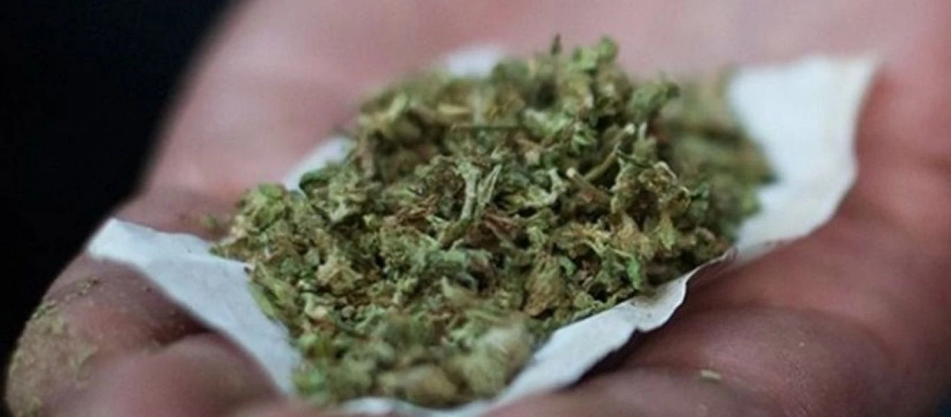 Yπάλληλος βουλευτή του ΣΥΡΙΖΑ συνελήφθη με μεγάλη ποσότητα κάνναβης!